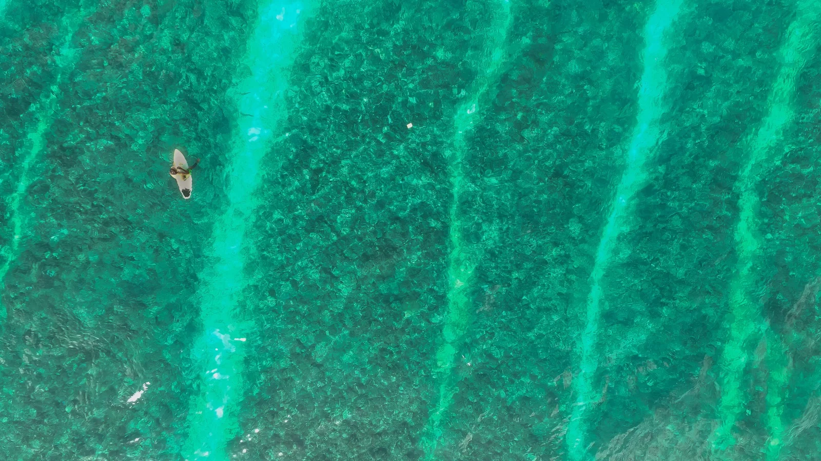 ishan-seefromthesky-118508-unsplash-scaled