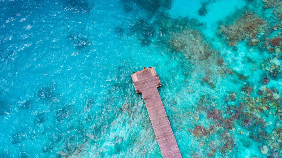 ishan-seefromthesky-366088-unsplash