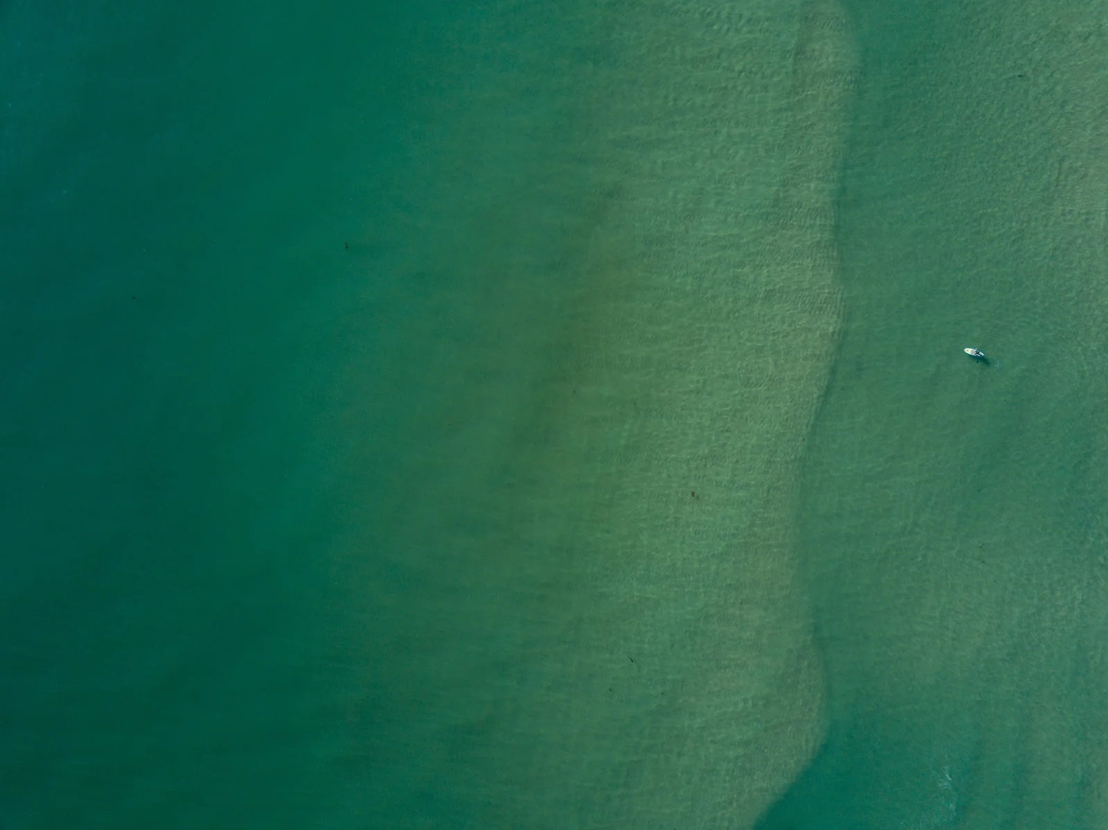 charles-magnuson-218083-unsplash-scaled