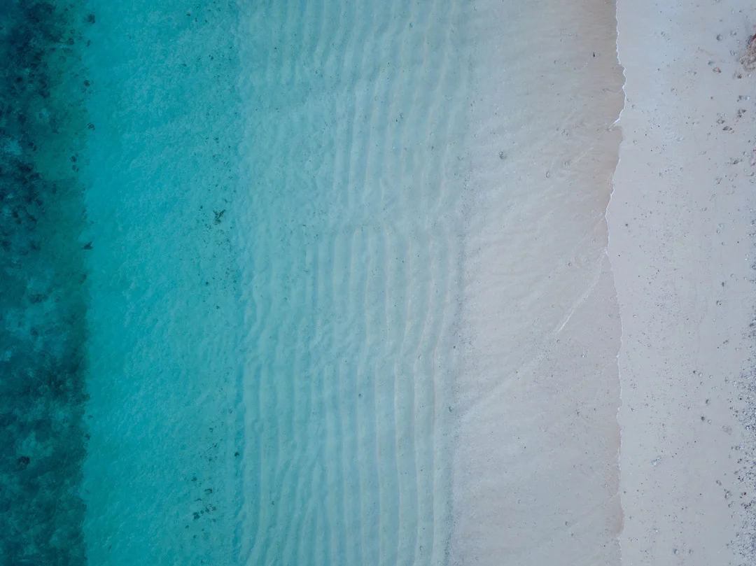damon-hall-1254817-unsplash-2