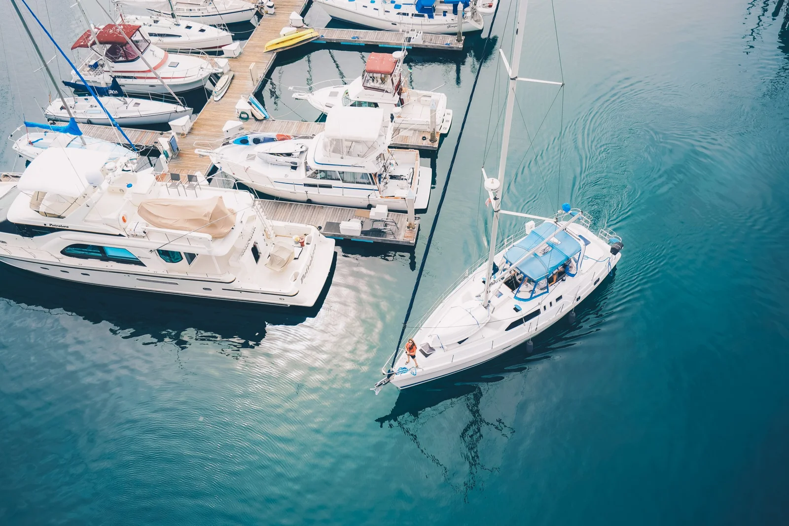 eric-ward-346232-unsplash-scaled