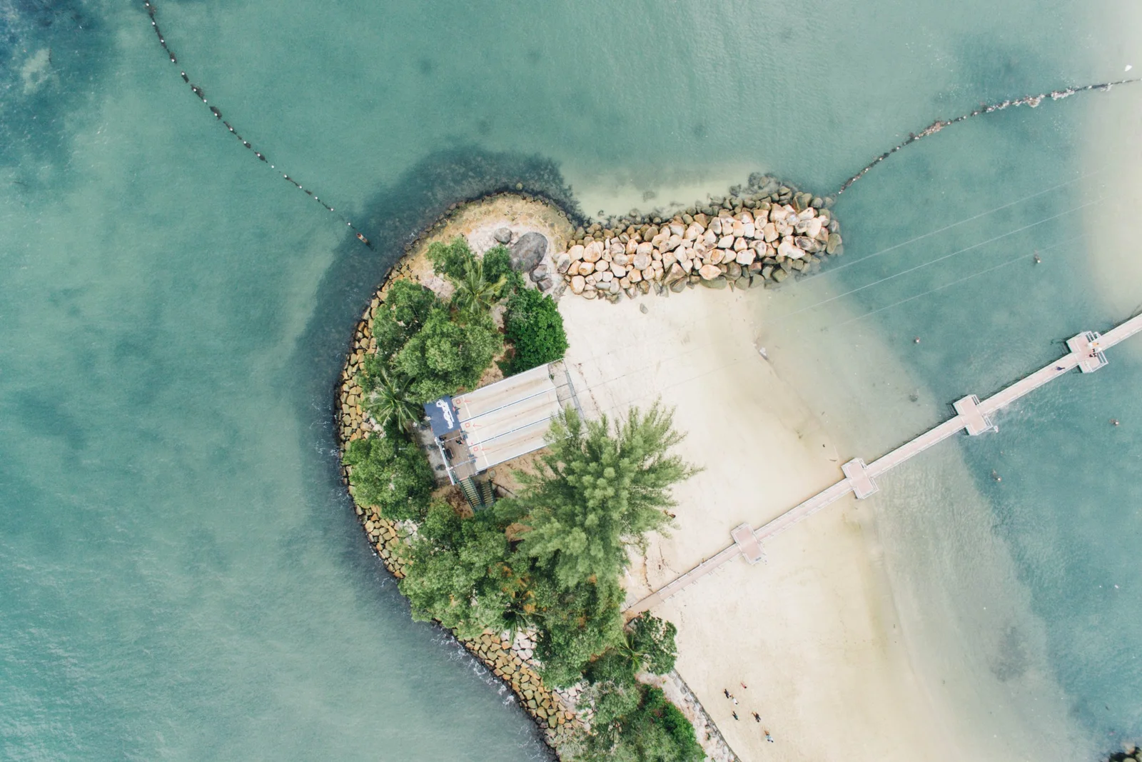 hanson-lu-263679-unsplash-scaled