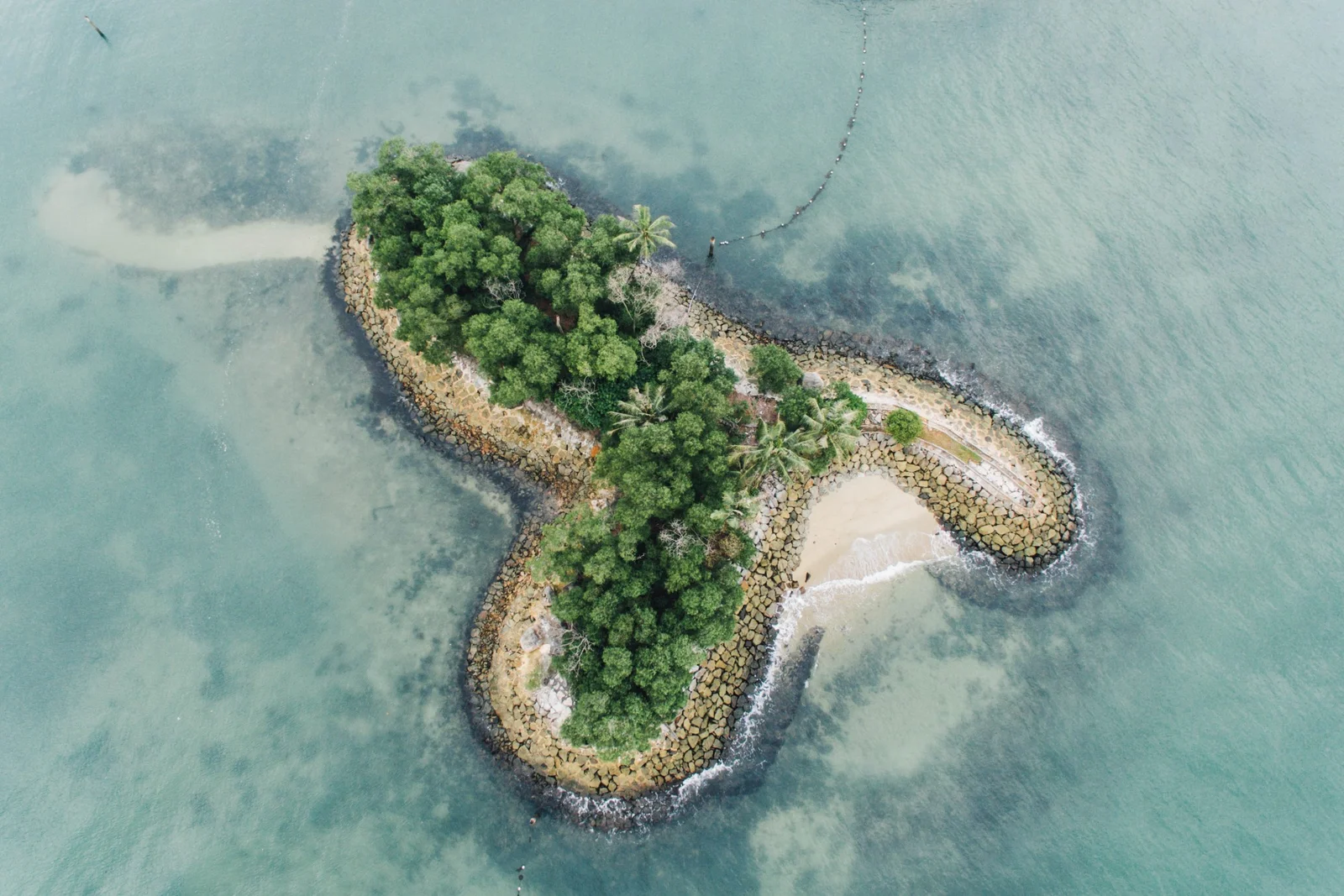 hanson-lu-263680-unsplash-scaled